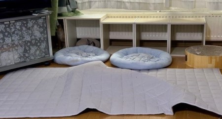 thumbnail_IMG_0079 (2)