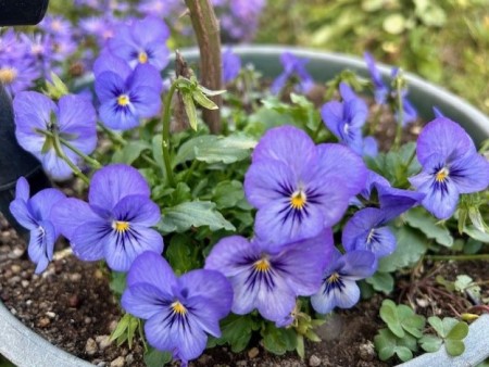 thumbnail_IMG_3626 (1)