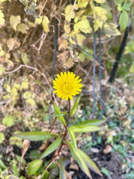 thumbnail_IMG_8480 (3)