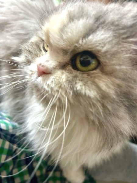 thumbnail_IMG_6001 (2)