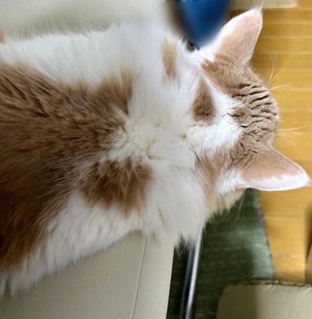 thumbnail_IMG_5979 (2)