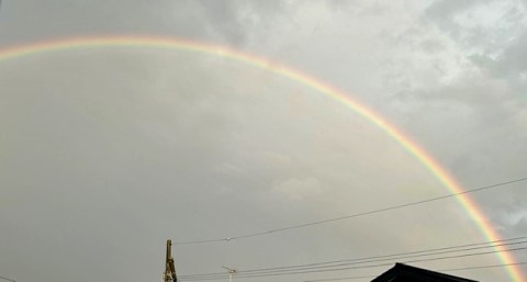 thumbnail_IMG_0571 (1)