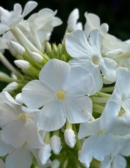 thumbnail_IMG_5590