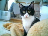 200504301253-thumbnail2