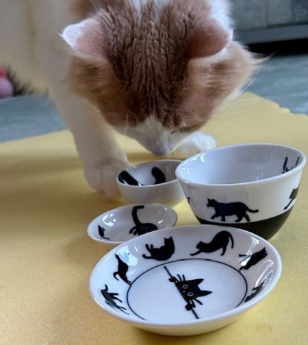 thumbnail_IMG_5709 (2)