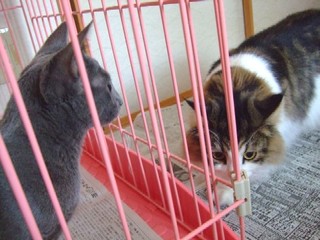 2007_09300044