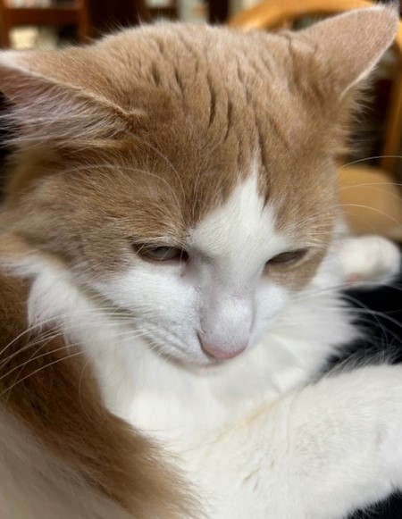 thumbnail_IMG_7070 (1)