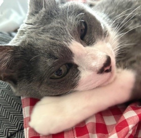 thumbnail_IMG_1205 (1)