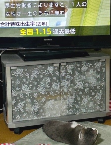 thumbnail_IMG_7329 (3)