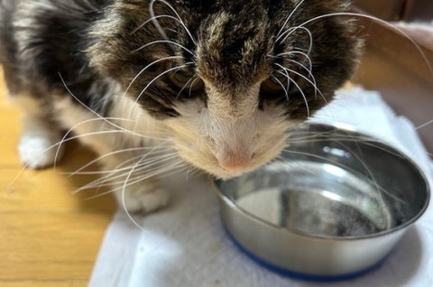 thumbnail_IMG_5086 (1)