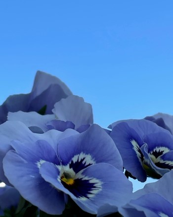 665F188B-B411-4AC2-9A25-1128FB1780FA