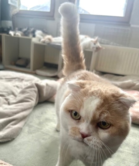 70277dc5-fe79-415d-8ea6-0dc4a4375a39_1