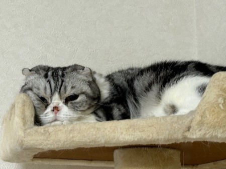 thumbnail_IMG_5762