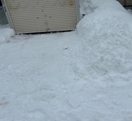 thumbnail_IMG_3696 (1)