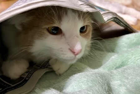 thumbnail_IMG_9475 (1)