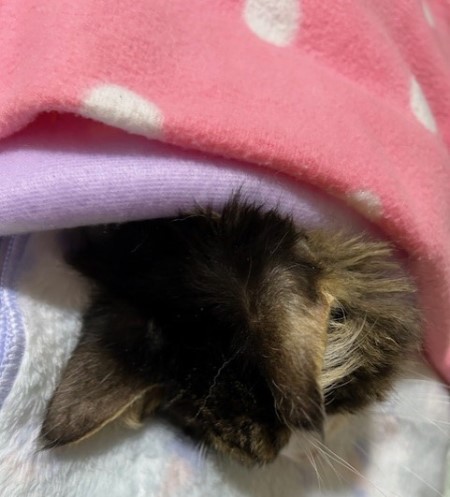 thumbnail_IMG_1304 (2)