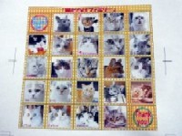 「猫だらけ」
