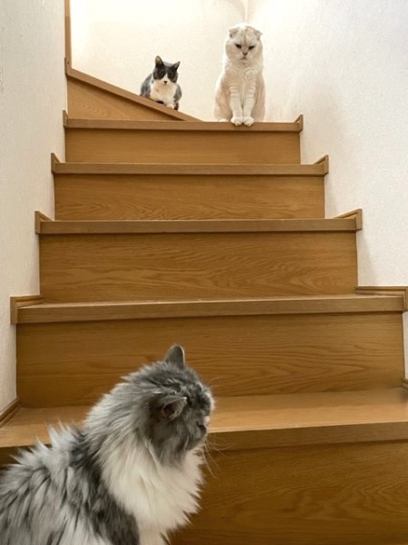thumbnail_IMG_0224