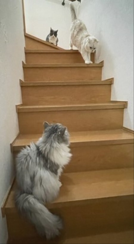 thumbnail_IMG_0233