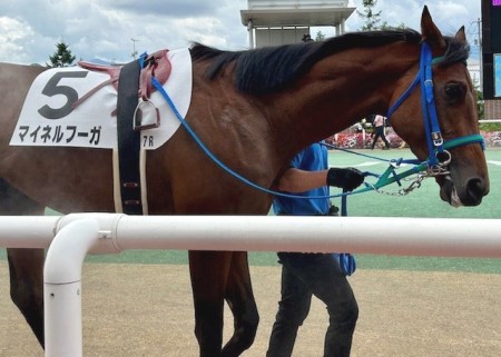 thumbnail_IMG_1579 (1)