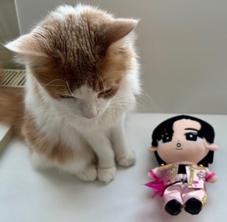 お誕生日をお祝いしてすのチル（目黒蓮さん）の服を作りました : 猫