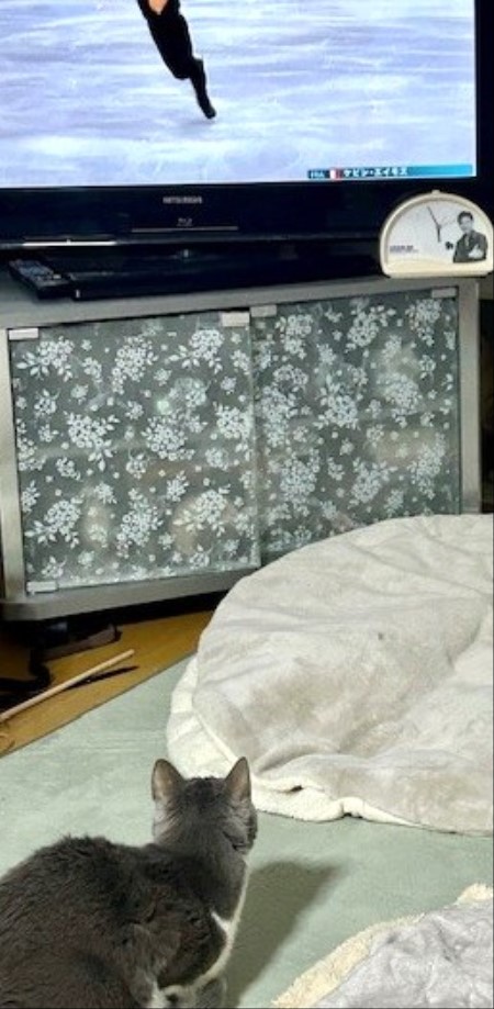 8007b788-4ffe-4b47-9adb-ccdaadad8749