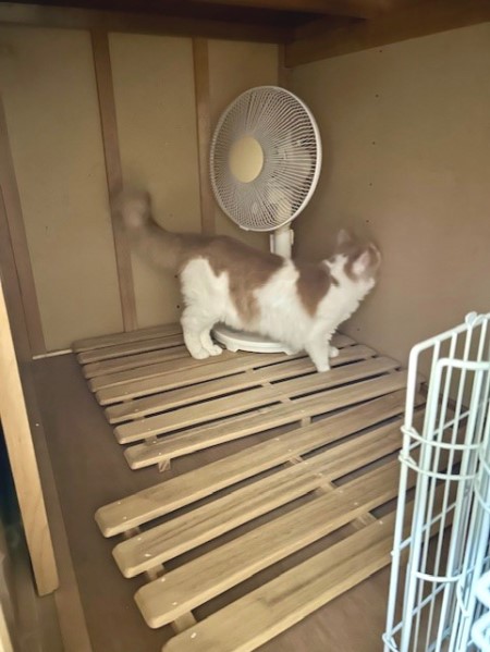 thumbnail_IMG_8490 (2)