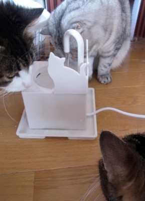 「猫だらけ」