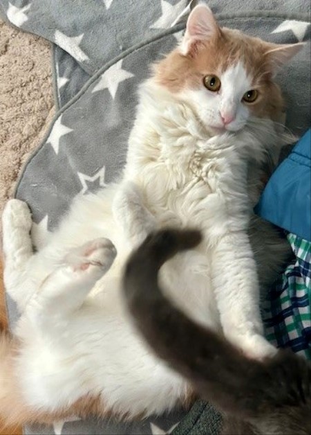 thumbnail_IMG_4303 (1)