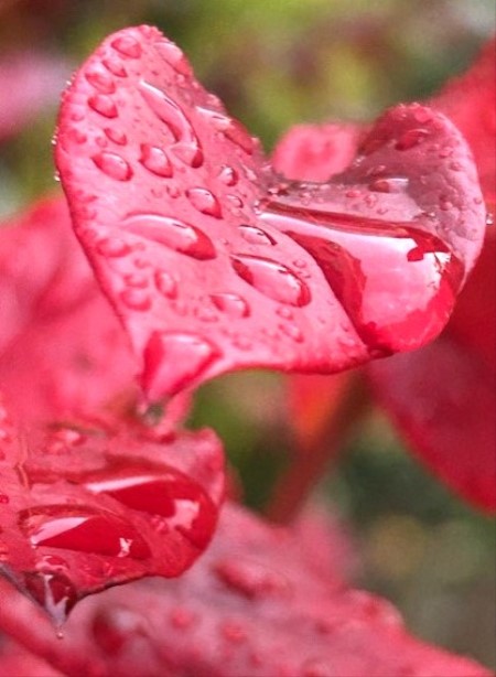 thumbnail_IMG_7931