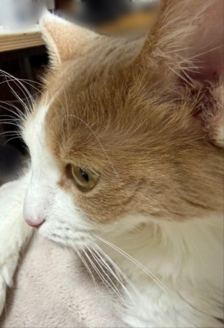 367929c8-d119-4c60-8bab-571d96c6b080