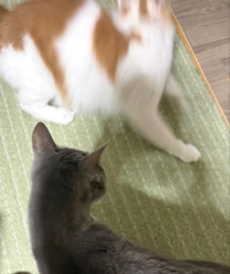 b7ec2ef8-bda2-4df2-84e5-2e77643c6394