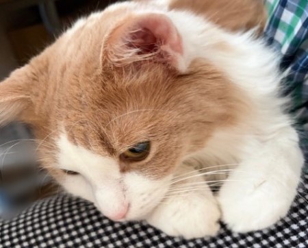 7bff669e-a13a-415a-907f-335e06581e12