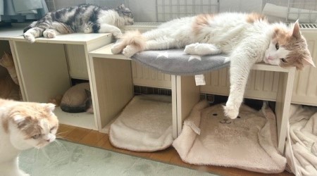 7fc004b6-f15b-4f2f-b425-5ac442e0d28c