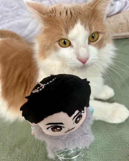 6ddfaa6f-c3d2-45a1-952a-d8f365637ae9