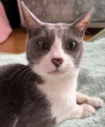 thumbnail_IMG_3100 (1)