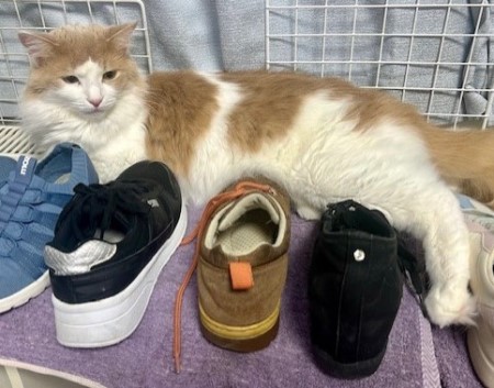 thumbnail_IMG_5205 (2)