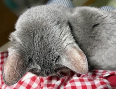 6e8f95c5-562b-4233-9560-6fbe2490276b