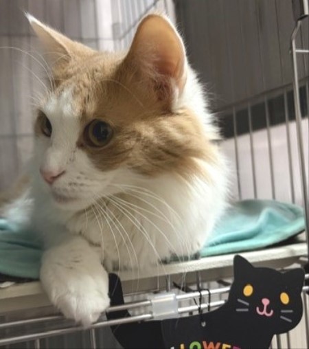 08e2184a-248b-4a14-bf5b-354fc7afc4fb