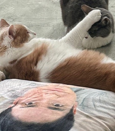 thumbnail_IMG_3921 (2)