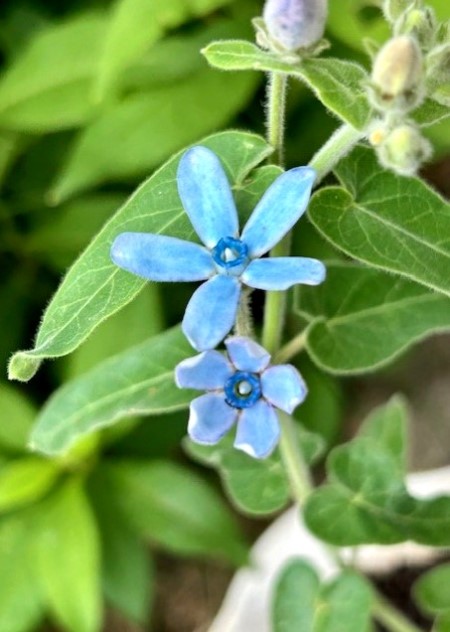 thumbnail_IMG_8913