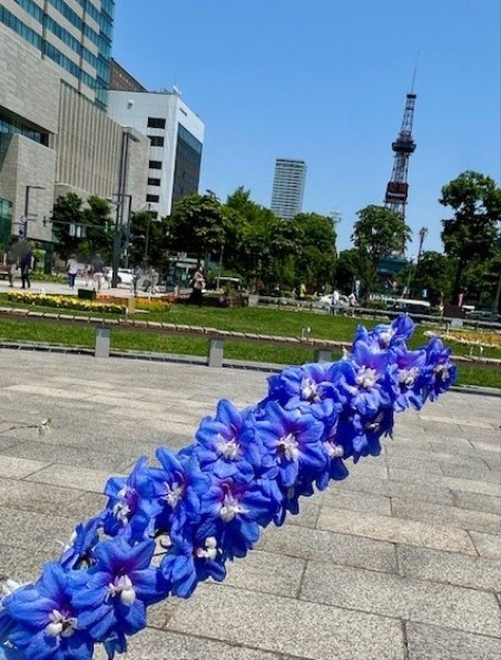 thumbnail_IMG_8753 (1)