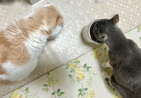 thumbnail_IMG_9795 (2)