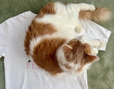 thumbnail_IMG_6712 (1)