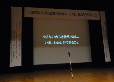 「猫だらけ」