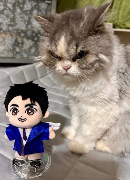 こひろみくん（郷ひろみさんのぬいぐるみ）の服作り① : 猫だらけ