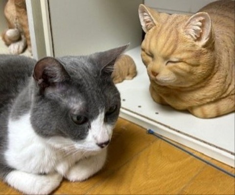 thumbnail_IMG_5322 (1)