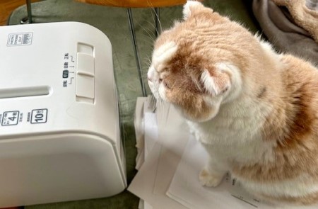 thumbnail_IMG_2764 (1)