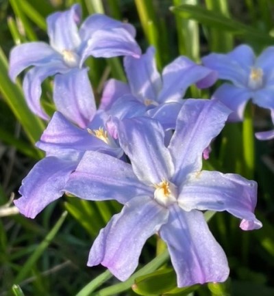 thumbnail_IMG_9590