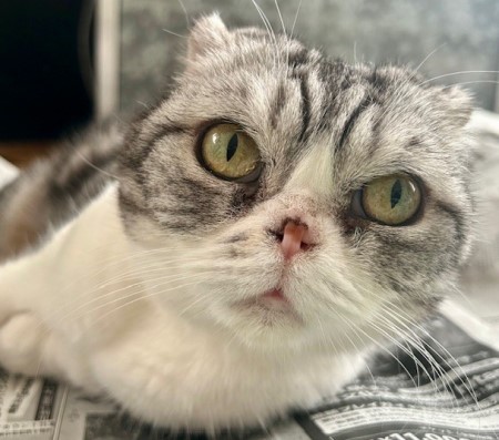 08bec77a-ec8d-477f-9f9d-26aa5915527f